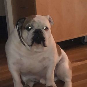 Meet your Posher, Jack